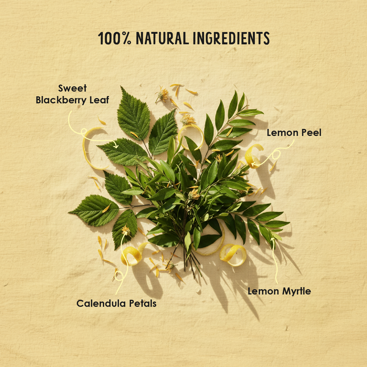 LIA'S LOVELY LEMONADE