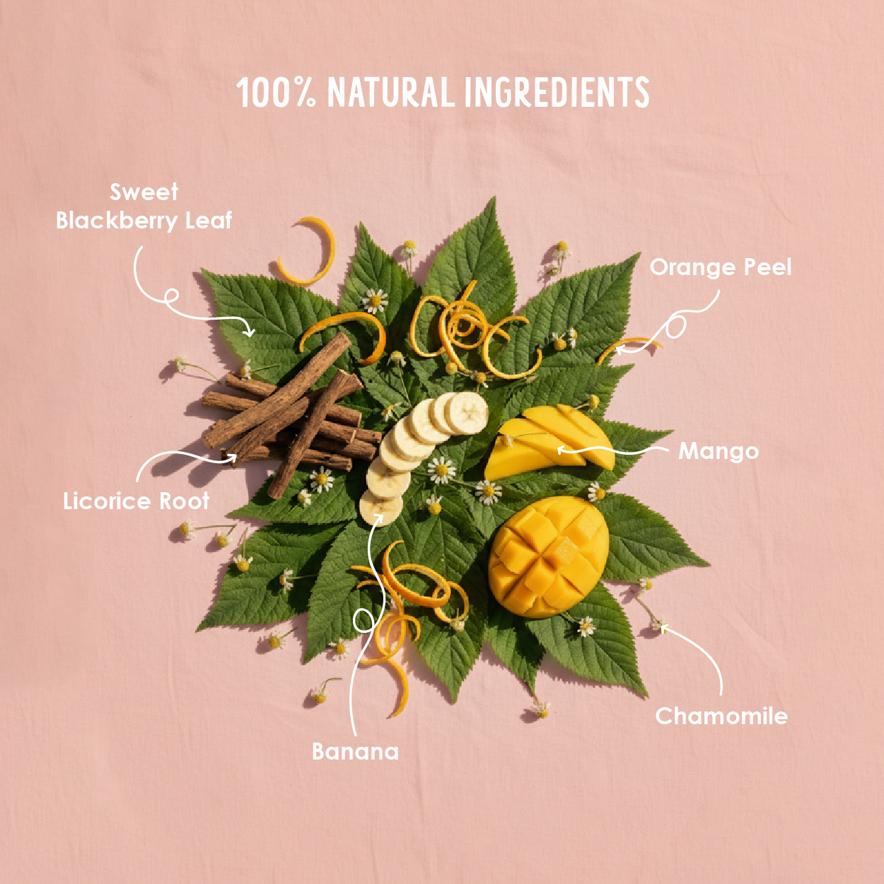 TOMMY'S TUTTI FRUITTI